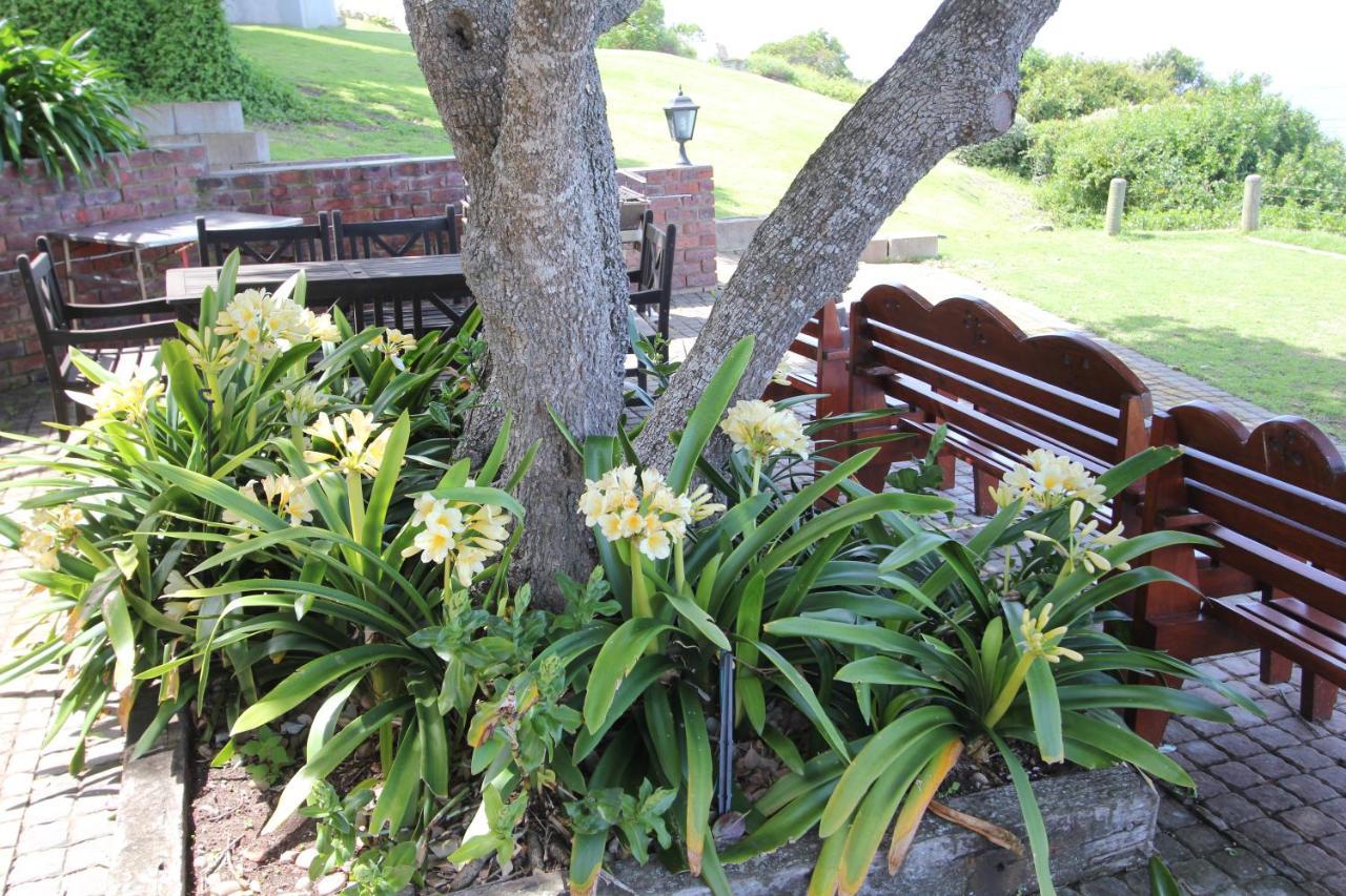 Imperani Lägenhet Plettenberg Bay Exteriör bild