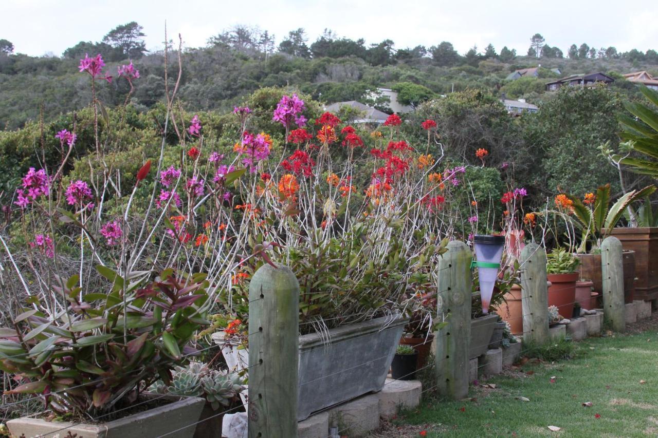 Imperani Lägenhet Plettenberg Bay Exteriör bild